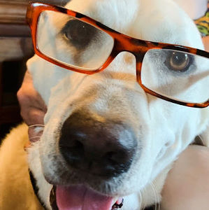 Meet your Posher, Cooper